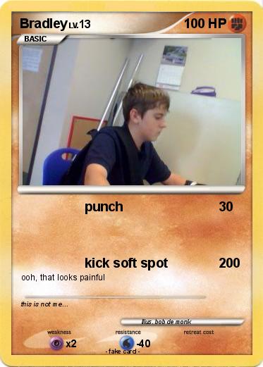 Pokemon Bradley