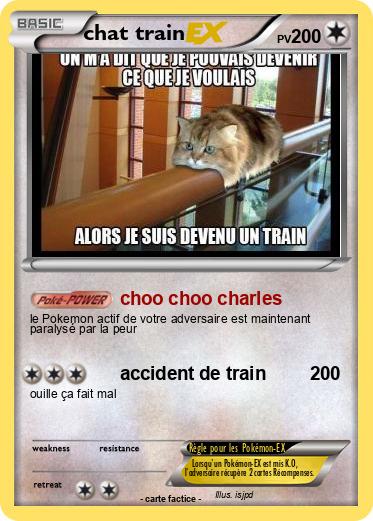 Pokemon chat train