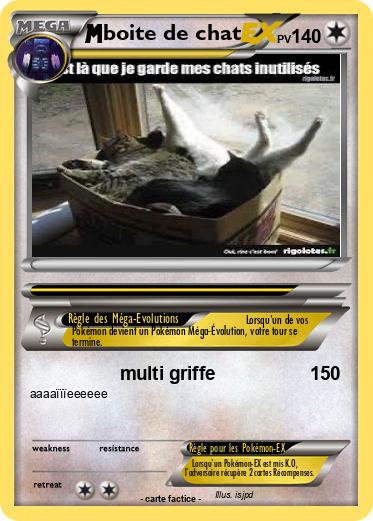 Pokemon boite de chat