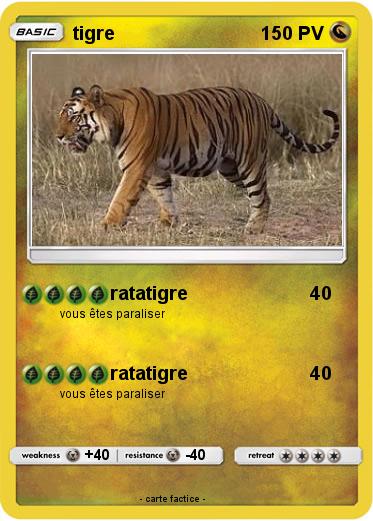 Pokemon tigre