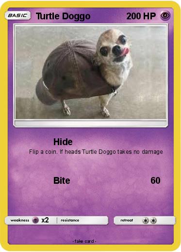 Pokemon Turtle Doggo