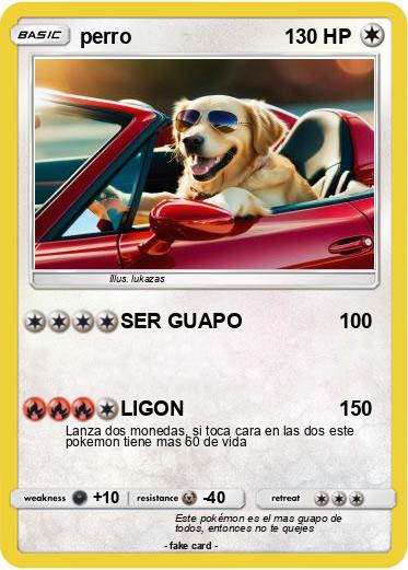 Pokemon perro