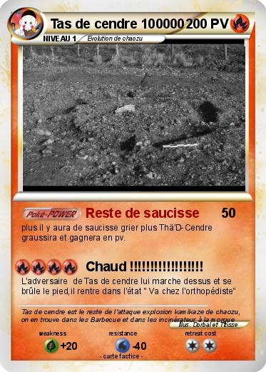 Pokemon Tas de cendre 100000