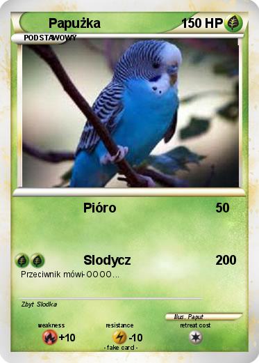 Pokemon Papużka