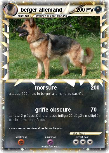 Pokemon berger allemand