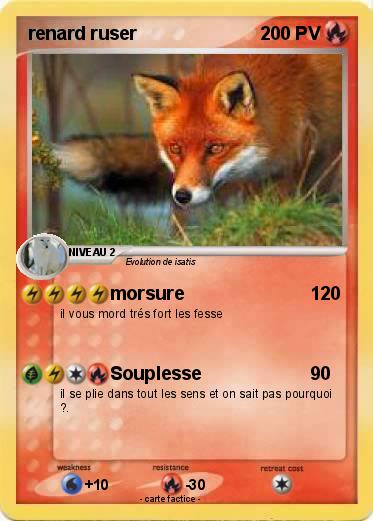 Pokemon renard ruser