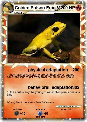 Pokemon Golden Poison Frog V