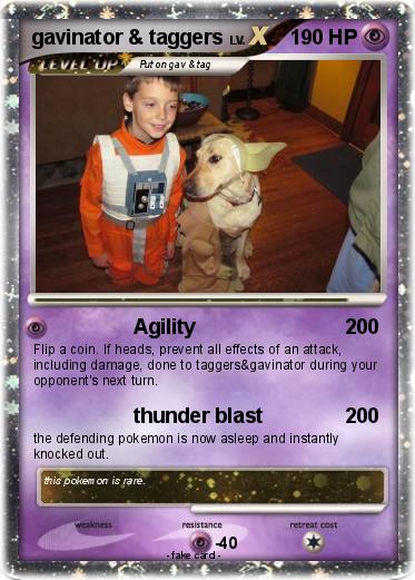 Pokemon gavinator & taggers