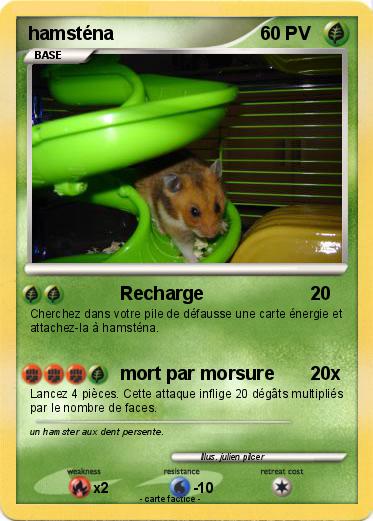 Pokemon hamsténa