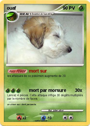 Pokemon ouaf