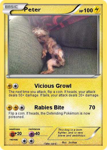 Pokemon Peter