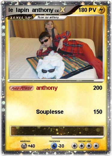 Pokemon le  lapin  anthony