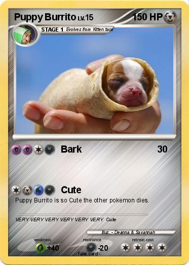 Pokemon Puppy Burrito