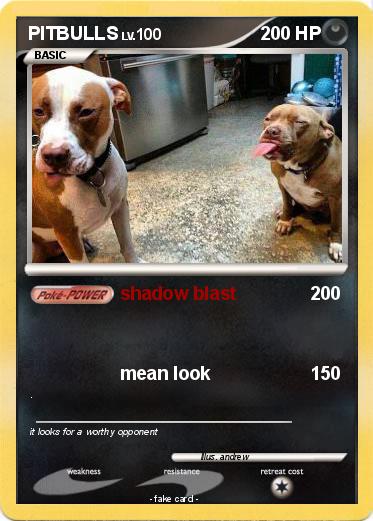 Pokemon PITBULLS