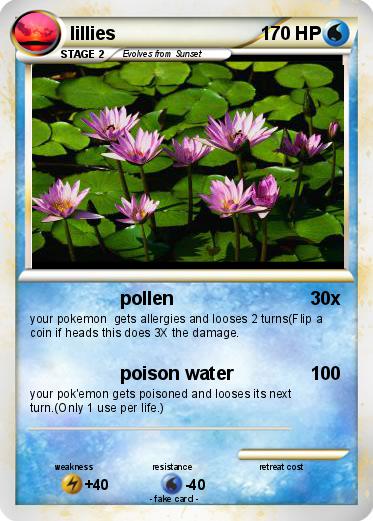 Pokemon lillies