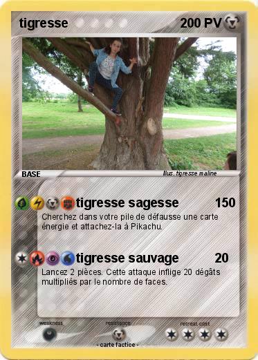 Pokemon tigresse
