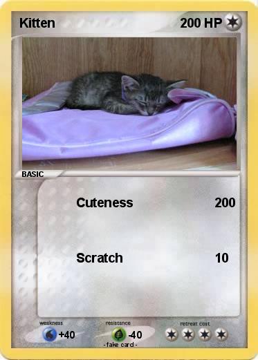Pokemon Kitten