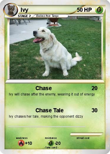 Pokemon Ivy