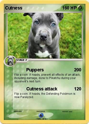 Pokemon Cutness