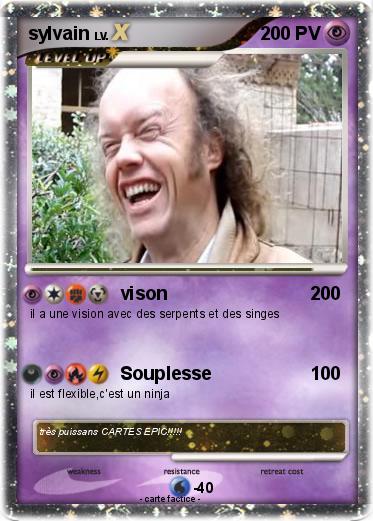 Pokemon sylvain