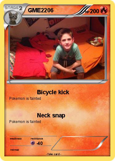 Pokemon GME2206