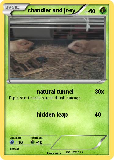 Pokemon chandler and joey