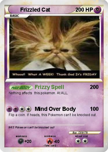 Pokemon Frizzled Cat