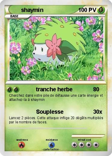 Pokemon shaymin
