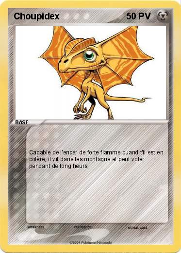 Pokemon Choupidex