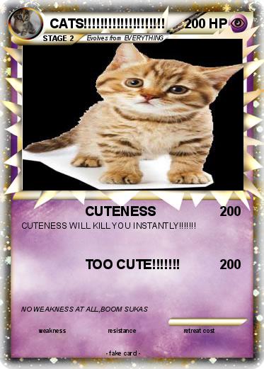 Pokemon CATS!!!!!!!!!!!!!!!!!!!!