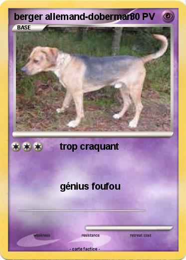 Pokemon berger allemand-doberman