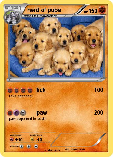 Pokemon herd of pups