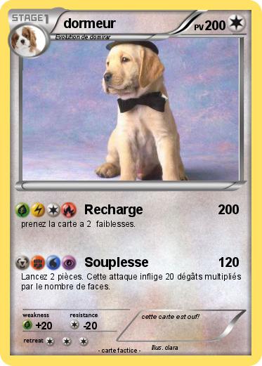 Pokemon dormeur