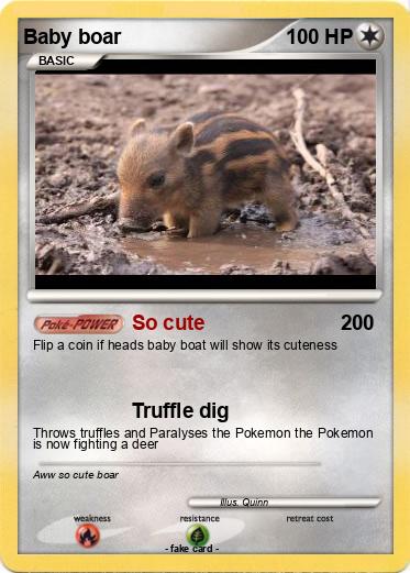 Pokemon Baby boar