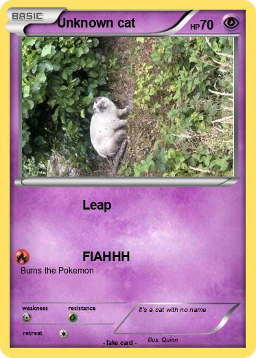 Pokemon Unknown cat