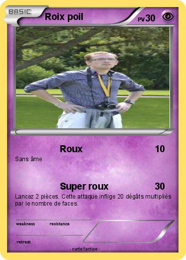 Pokemon Roix poil