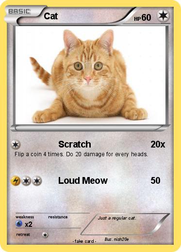 Pokemon Cat