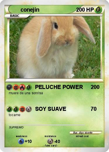 Pokemon conejín