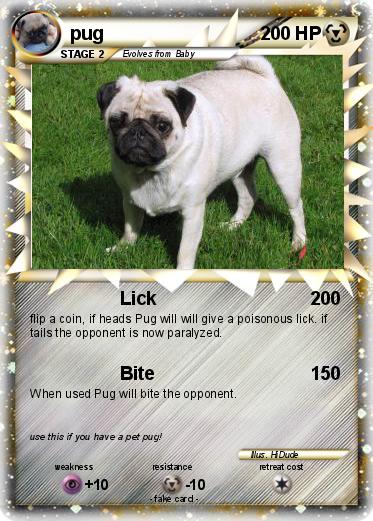 Pokemon pug