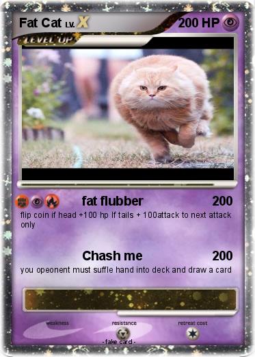 Pokemon Fat Cat