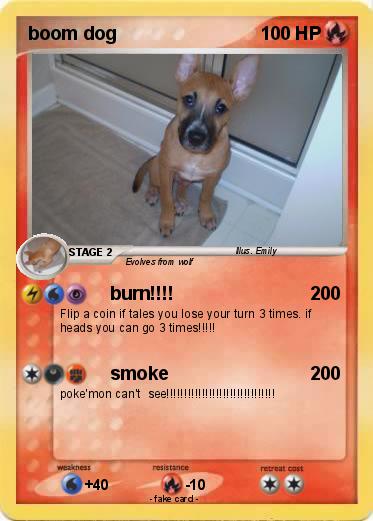 Pokemon boom dog