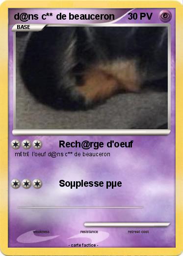Pokemon d@ns c** de beauceron