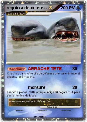 Pokemon requin a deux tete