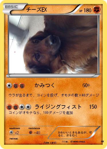 Pokemon チーズEX