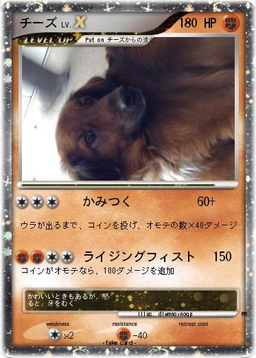 Pokemon チーズ