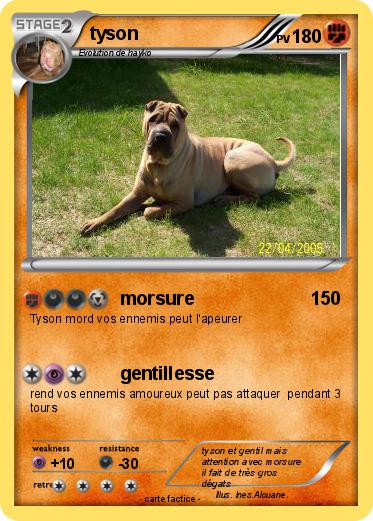 Pokemon tyson