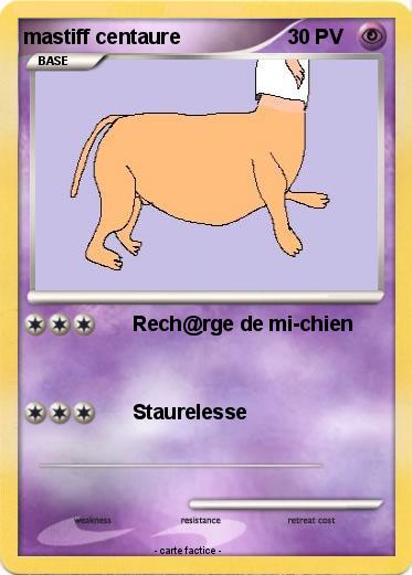 Pokemon mastiff centaure