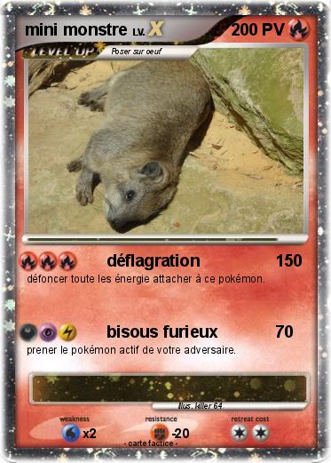 Pokemon mini monstre