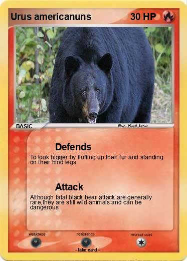 Pokemon Urus americanuns