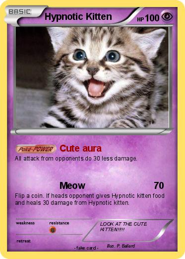 Pokemon Hypnotic Kitten